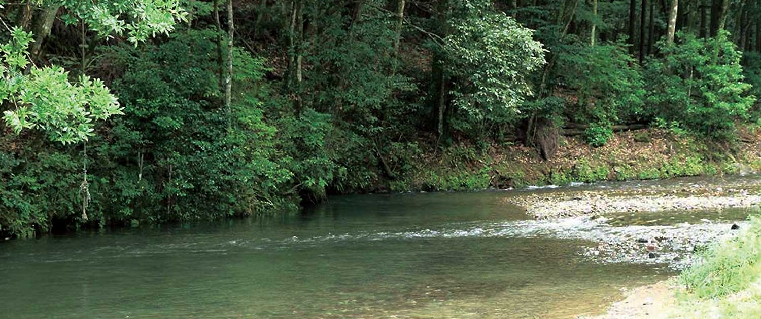 koubashiragawayuueijyou